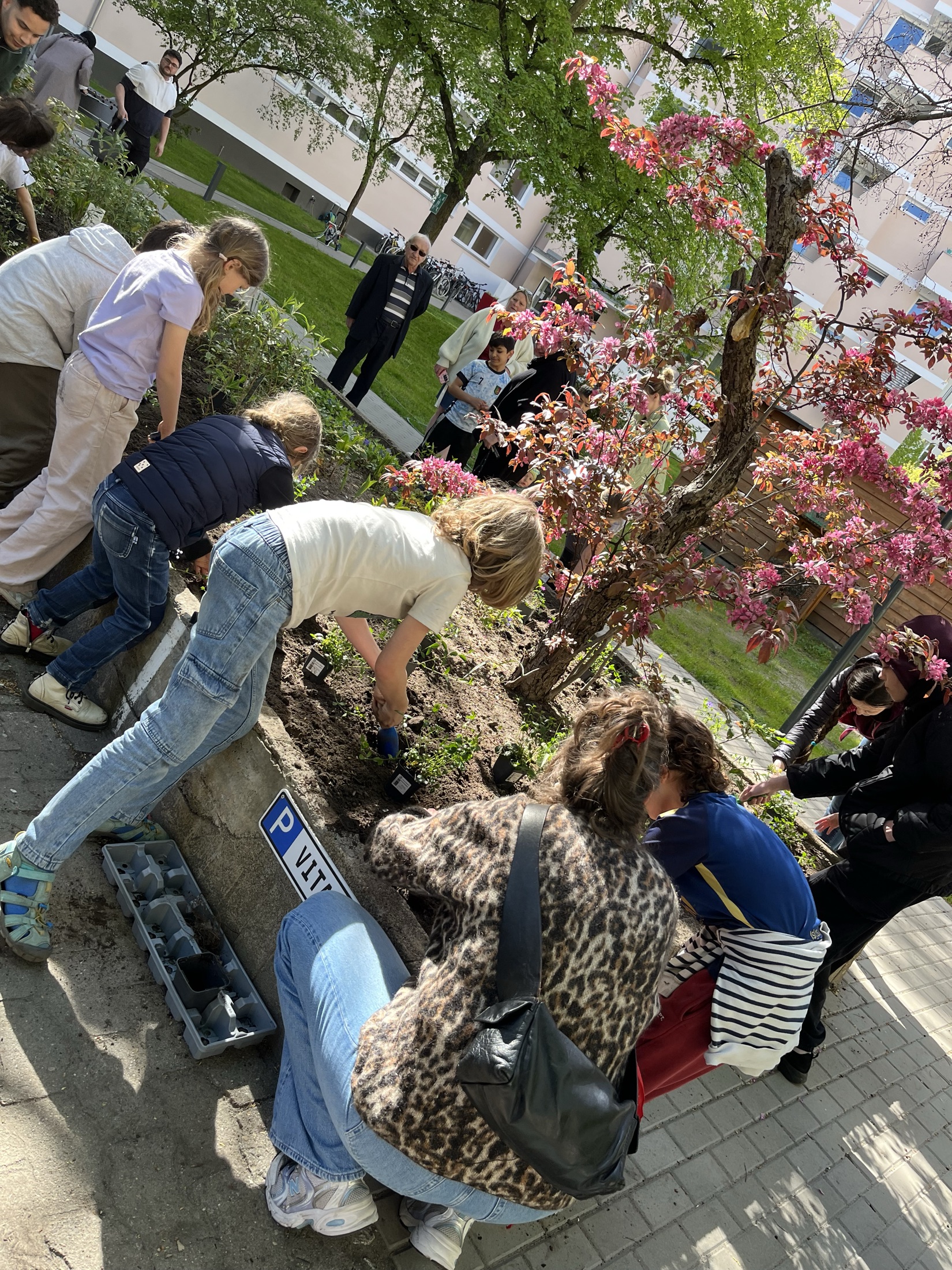 Children and adults planting in the Campus Garden