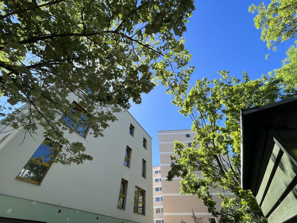 Buildings among mature trees