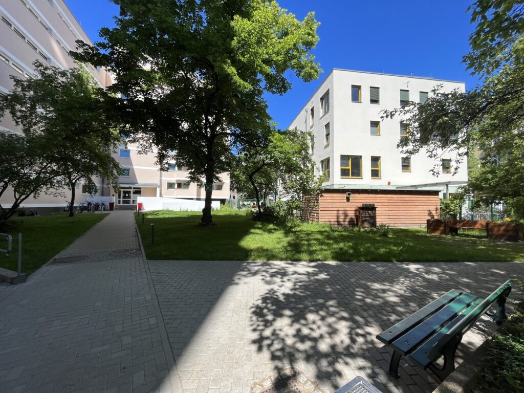 Green courtyard with bench