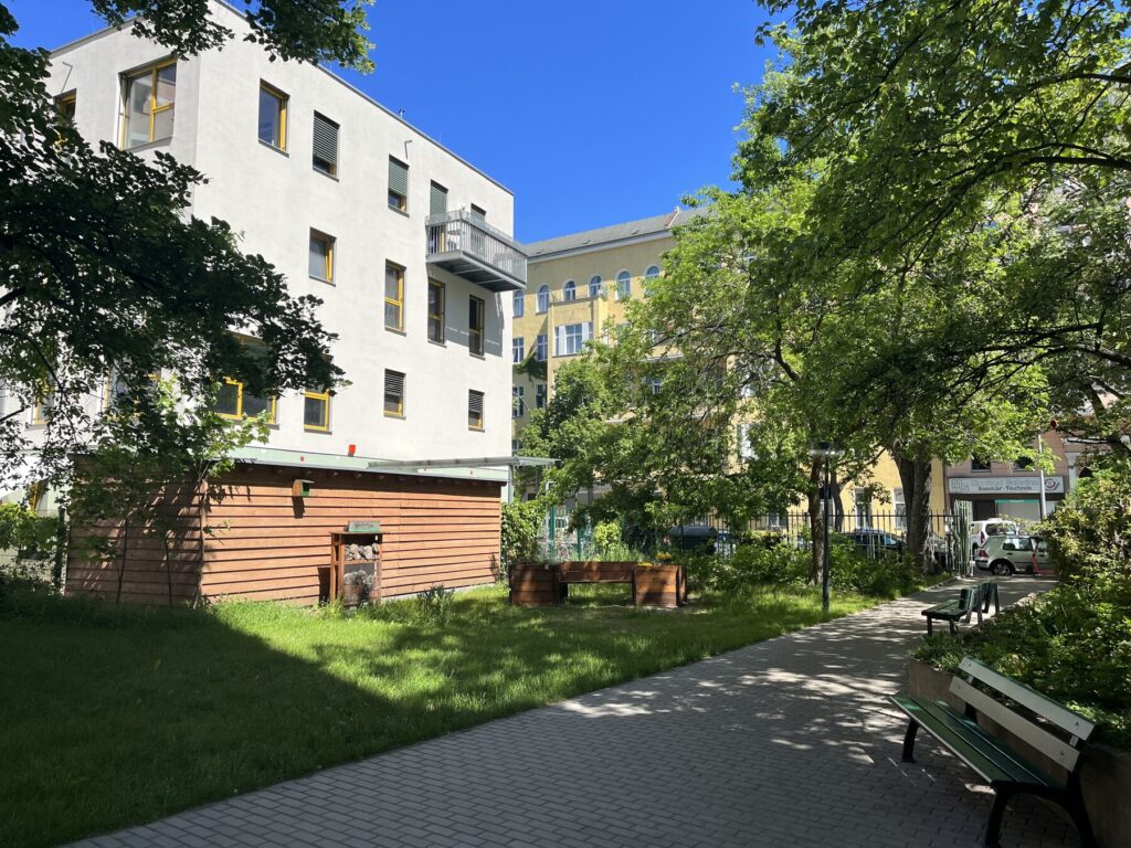 Courtyard and garden areas