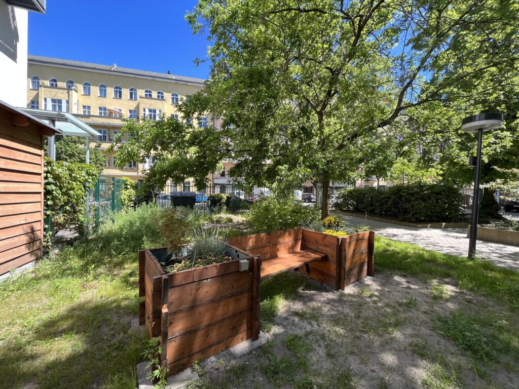 Raised beds in the campus garden