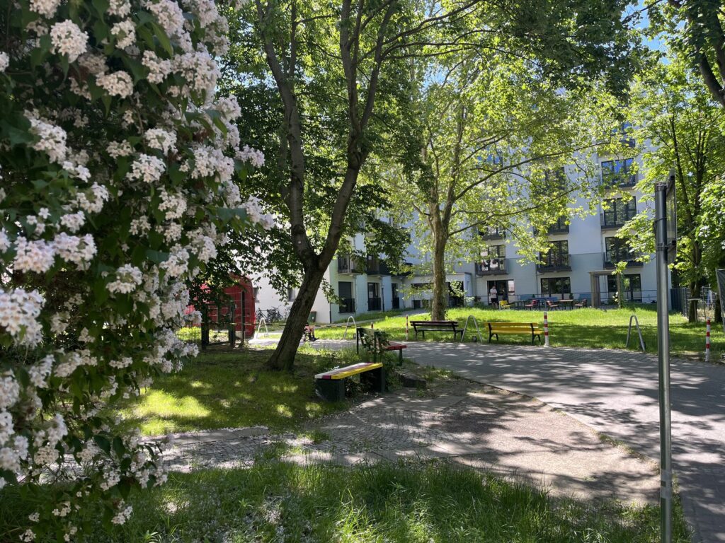Flowering shrubs in the courtyard