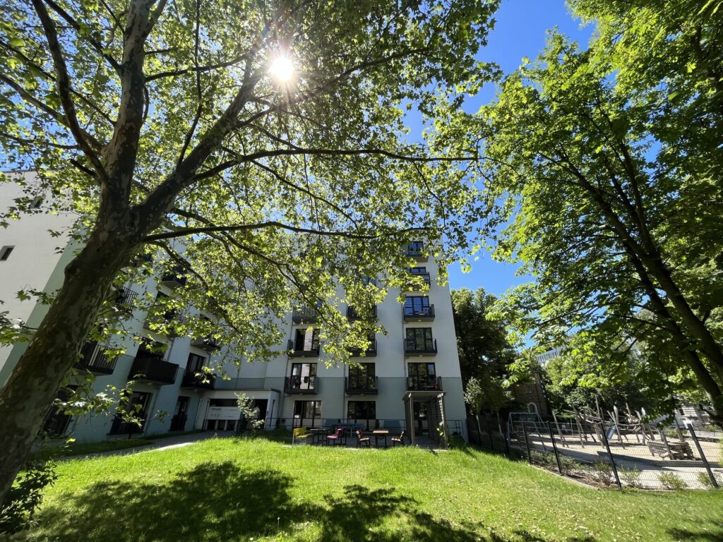 Courtyard under mature trees