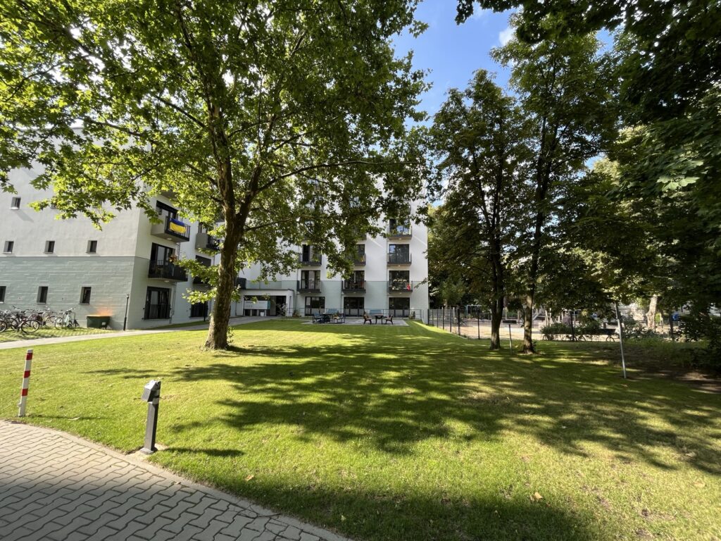 Green courtyard with mature trees
