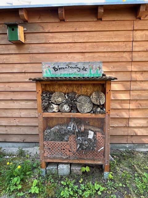 Insect hotel in the campus garden